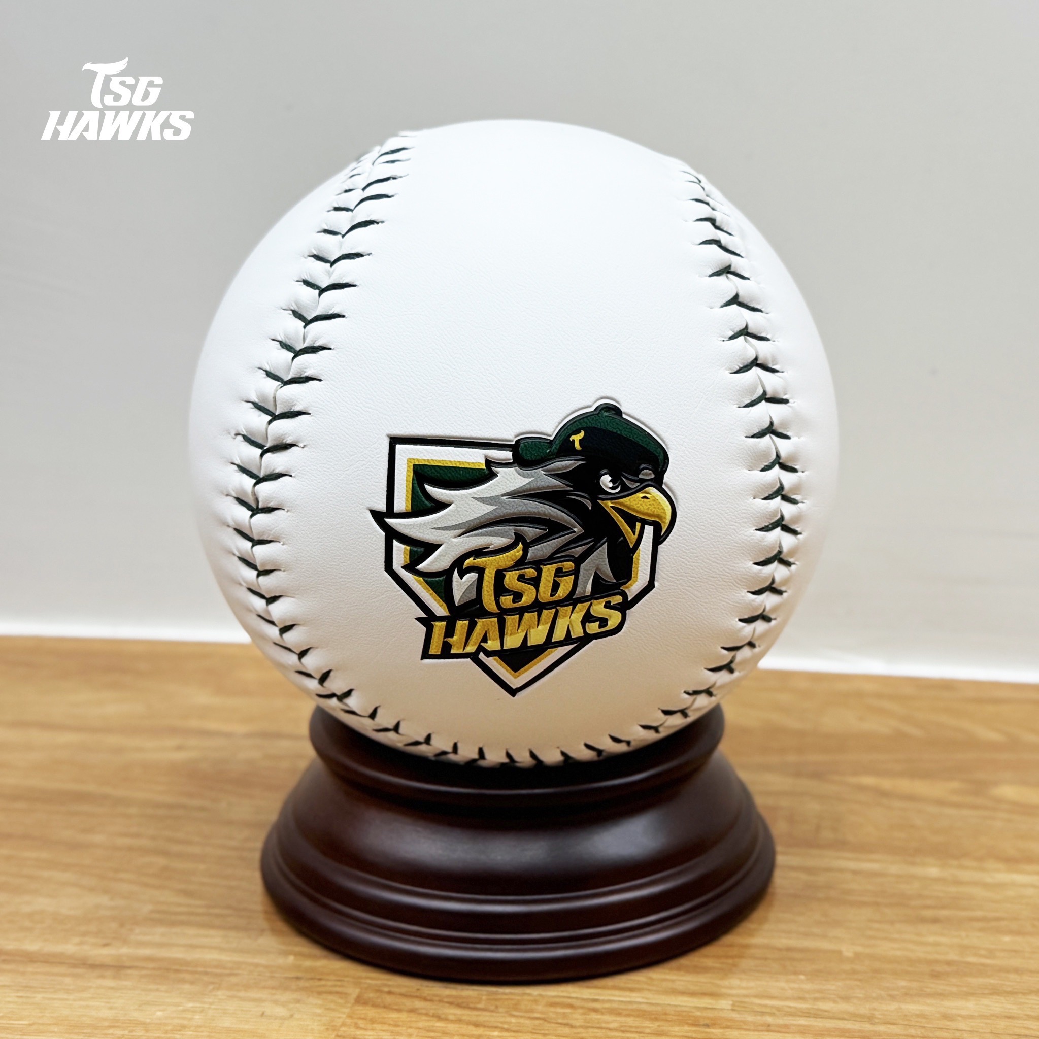 TSG HAWKS 隊徽大球